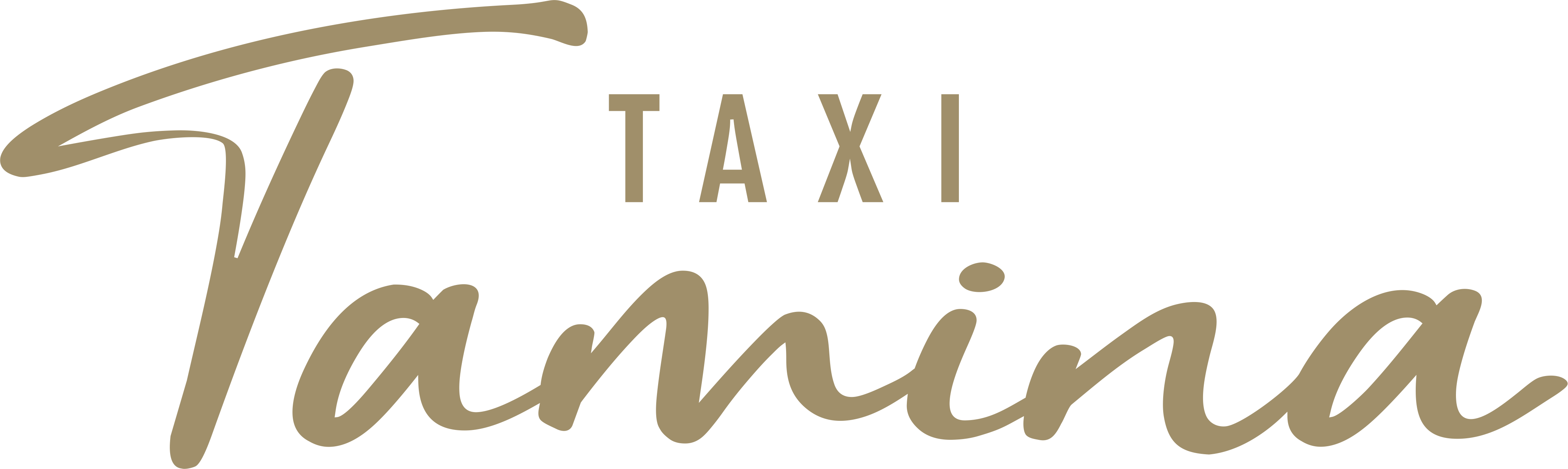 Taxi Tamina